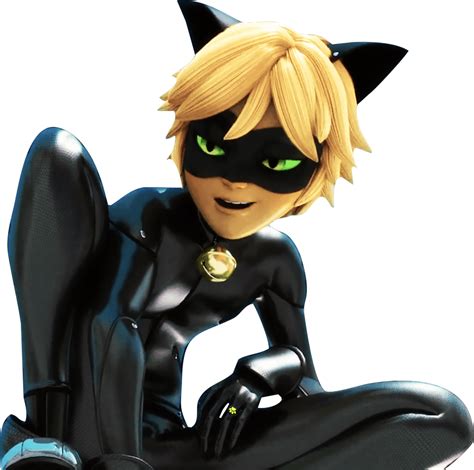 ladybug and cat noir images|a picture of cat noir.